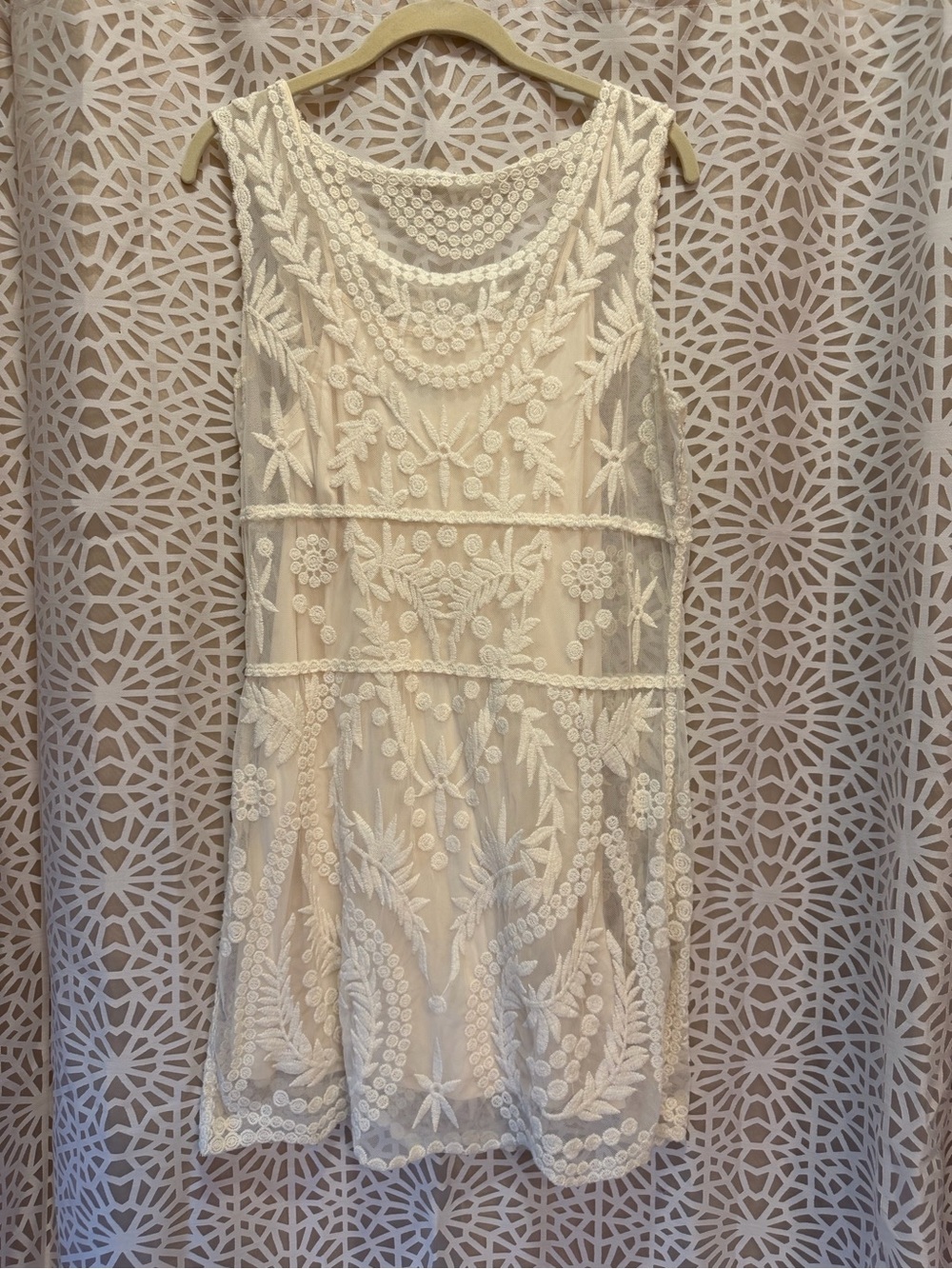 Express Cream Embroidered Sheer Dress